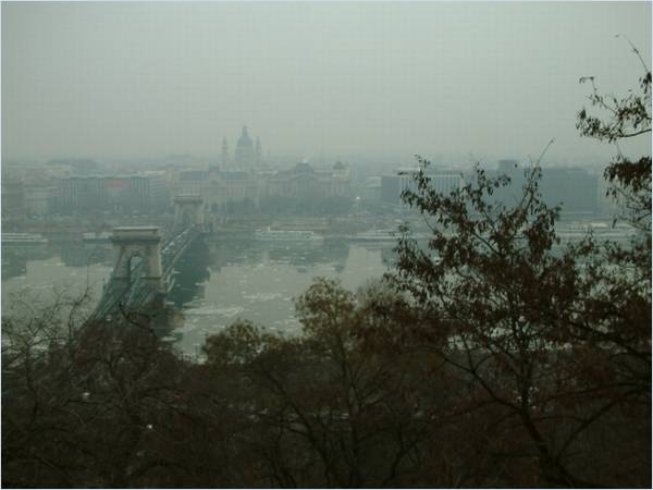 Dunst ber der winterlichen Donau